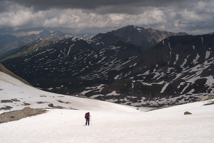 Snowfields