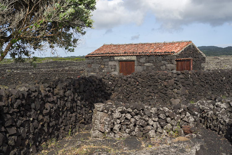 House in winery