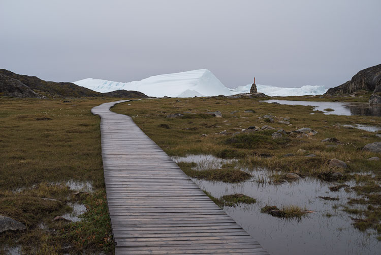 Wooden path