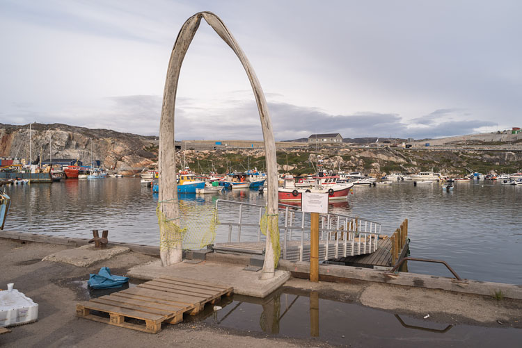 Whale bones