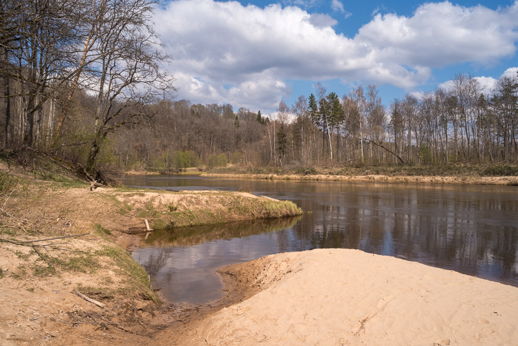 Gauja