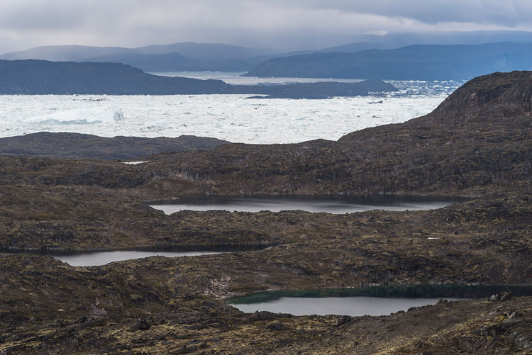 View at icefjord