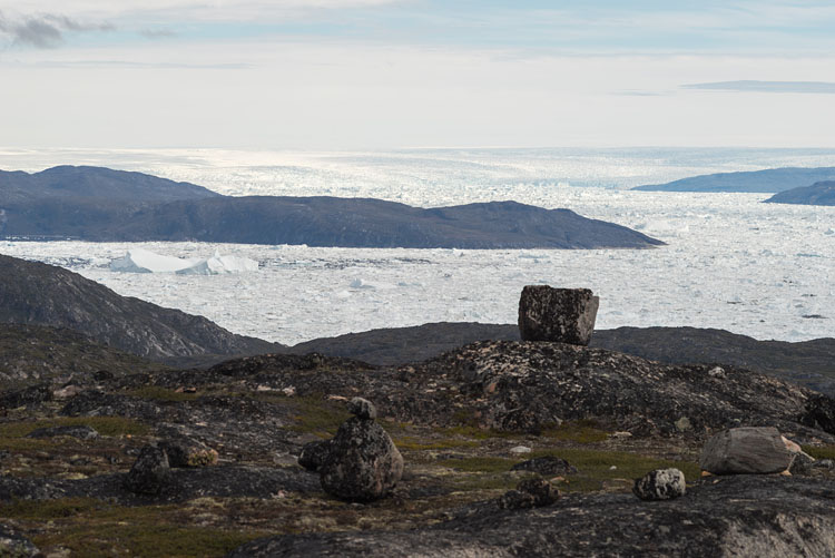 Icefjord and iceshield