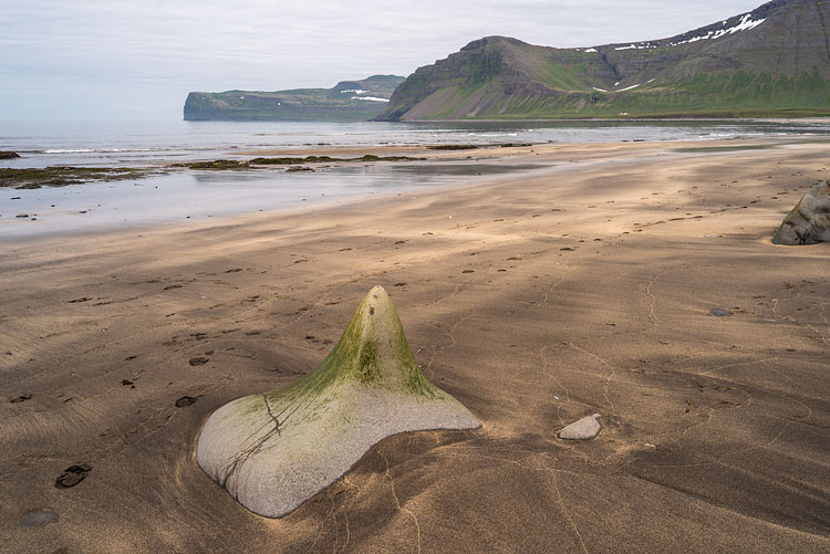 Stone on the Beach