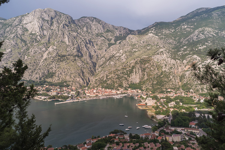 Kotor