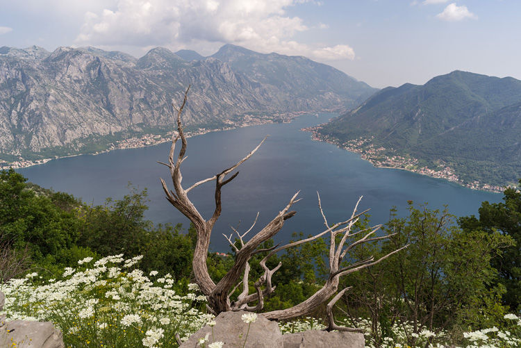 Bay of Kotor