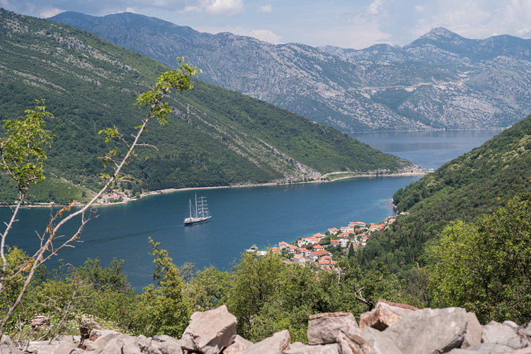 Lepetane