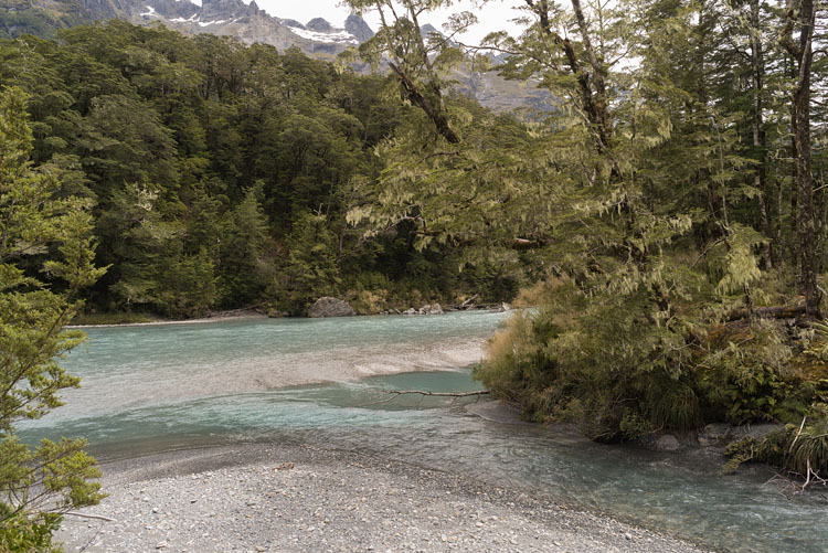 Dart River