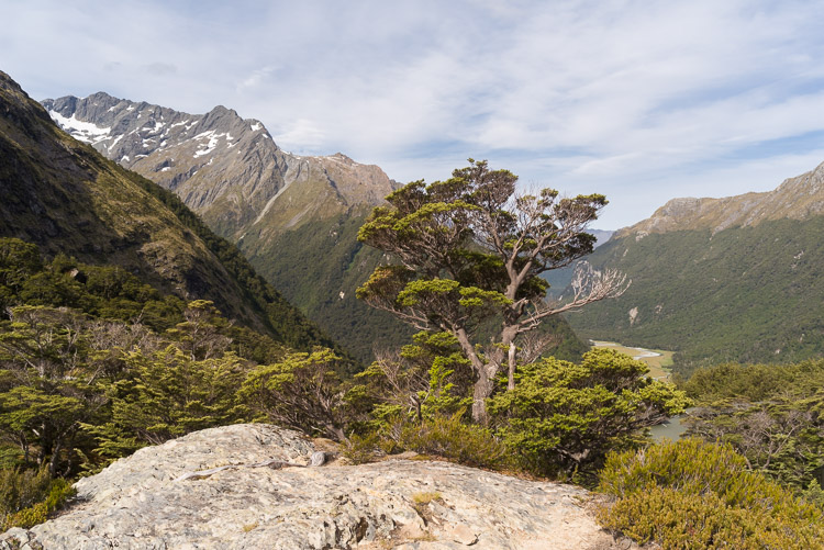 From Routeburn Falls Hut