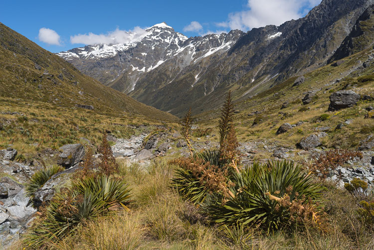 Upper Rees Valley