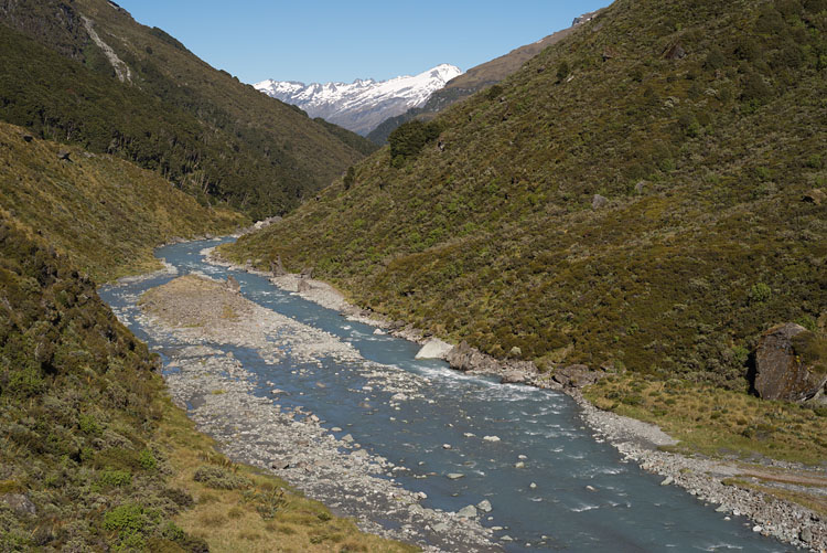 Dart River