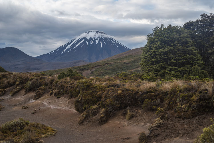 Ngauruhoe