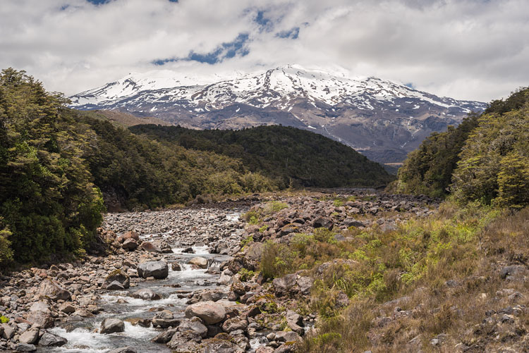 Whakapapaiti Valley