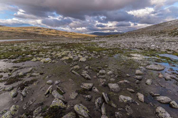 Near Svarthammartjønna