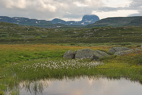 Harteigen from Hadlaskard