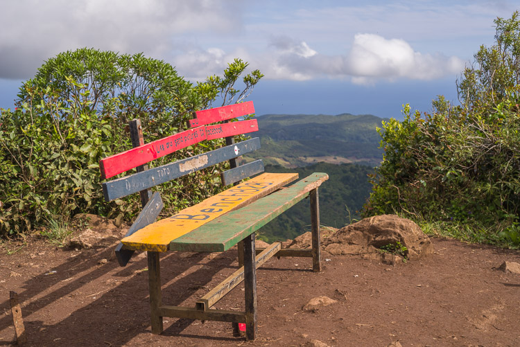 Bench