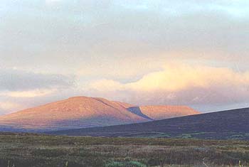 Evening in Tundra