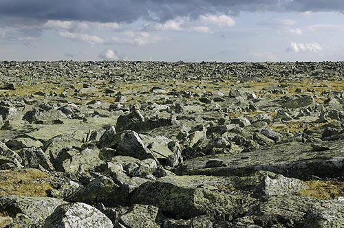 Plateau of Ruins