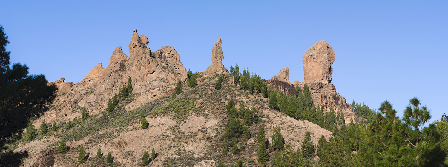 Roque Nublo in the Morning