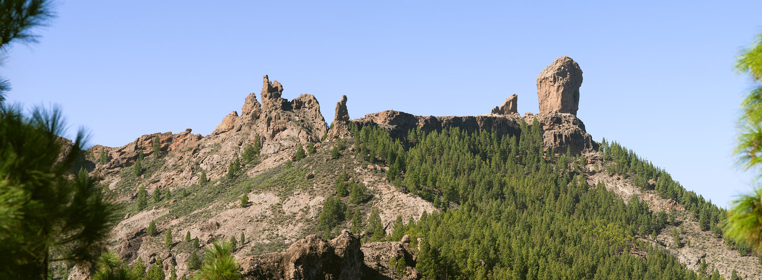 Roque Nublo Group