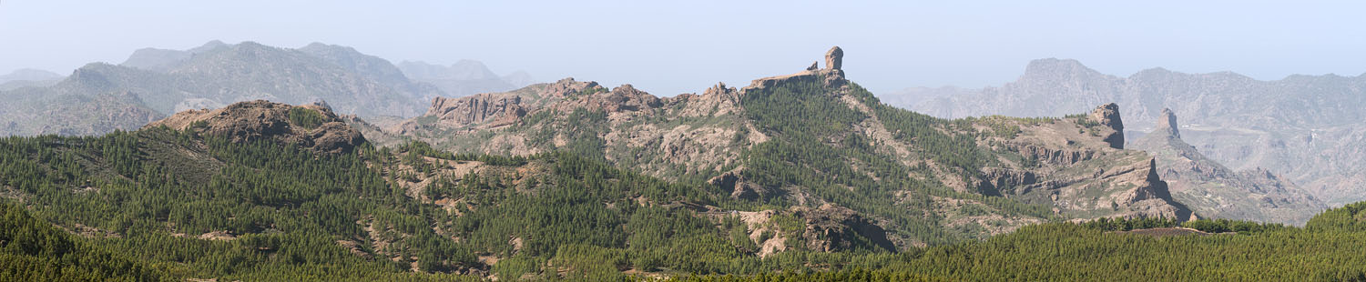 From Pico de las Nieves
