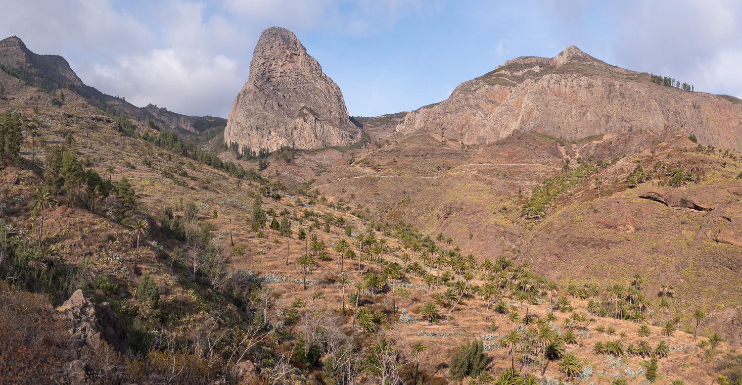 Roque de Agando
