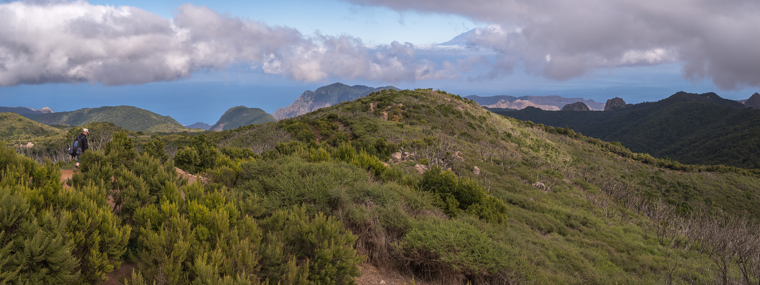 From Garajonay