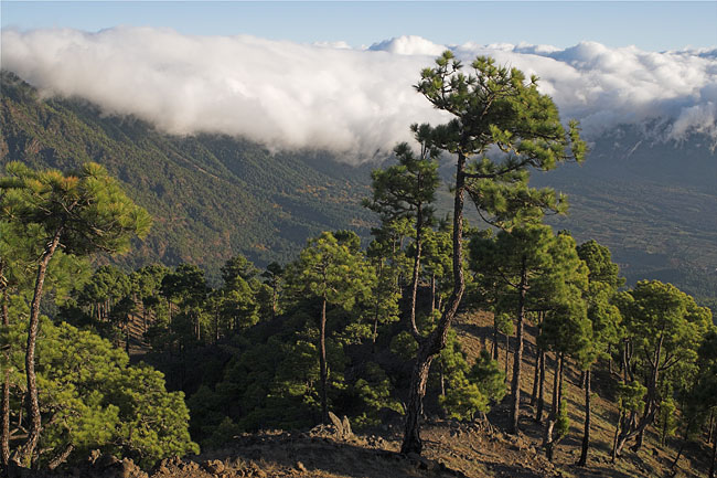 Descent from Pico de los Cuevos