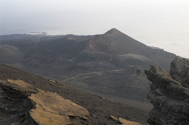 Teneguia