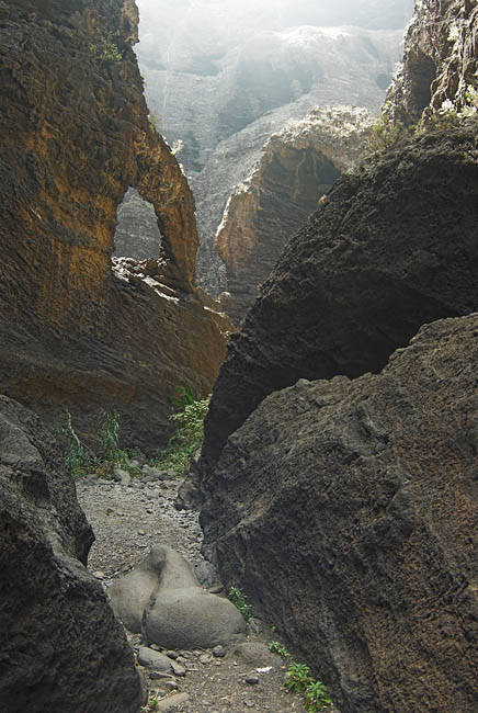 Masca