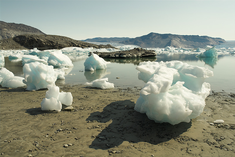Stranded Ice