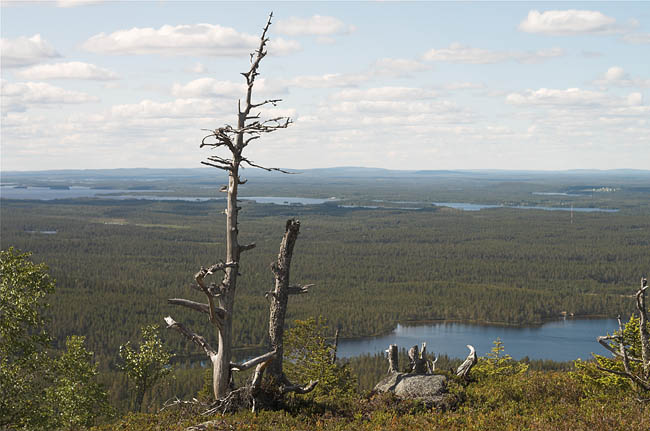 From Valtavaara
